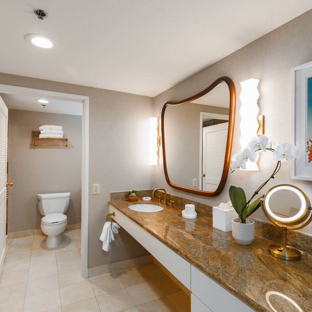 Newly Remodeled Suite Bathroom