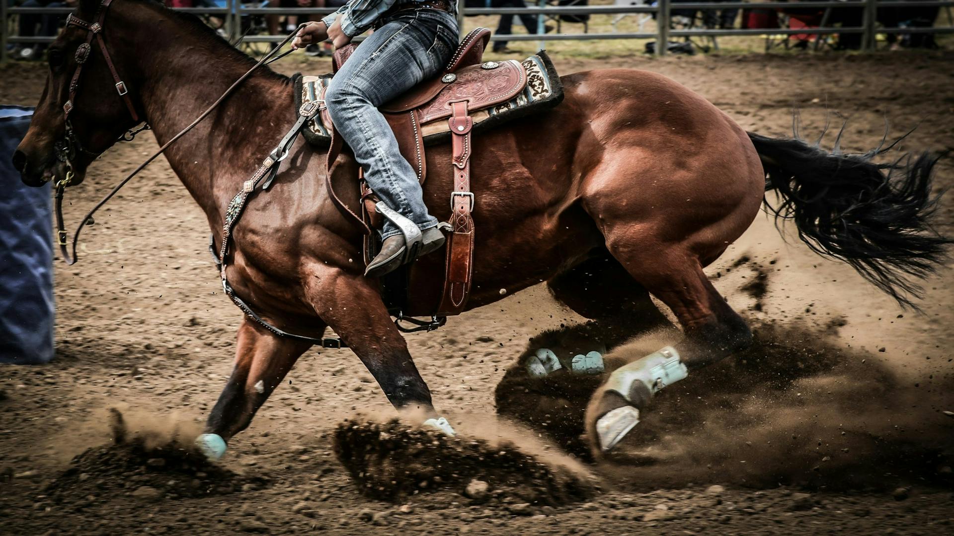 NFR Comes to Rio Las Vegas